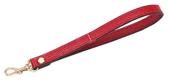 Red Shoulder Strap Handbag Strap